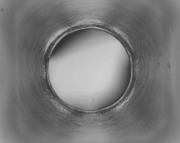 X0000077330973200611171803