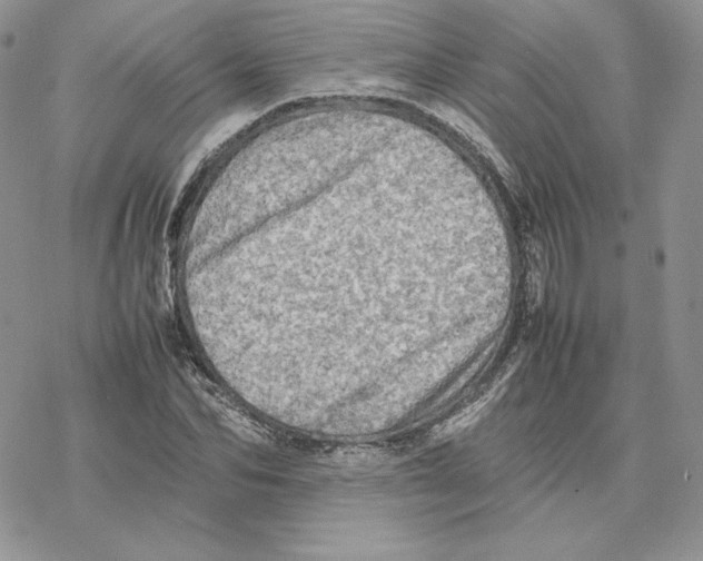 X0000077330974200611171803