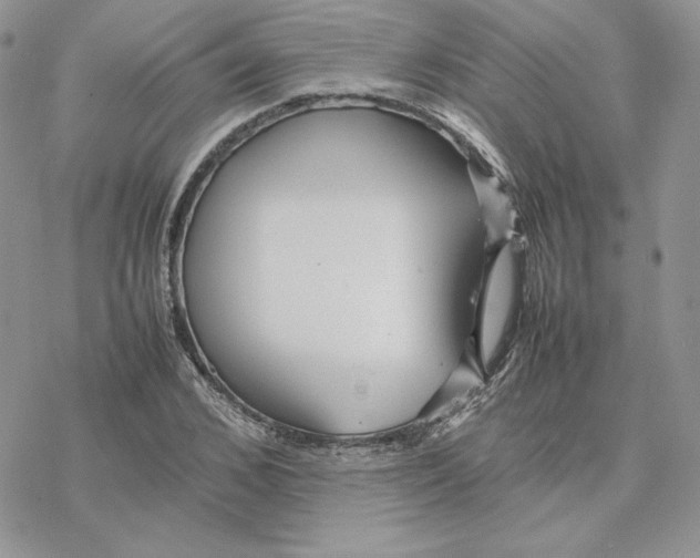 X0000077330976200611171803