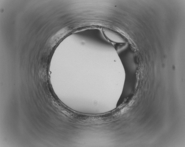 X0000077330977200611171803