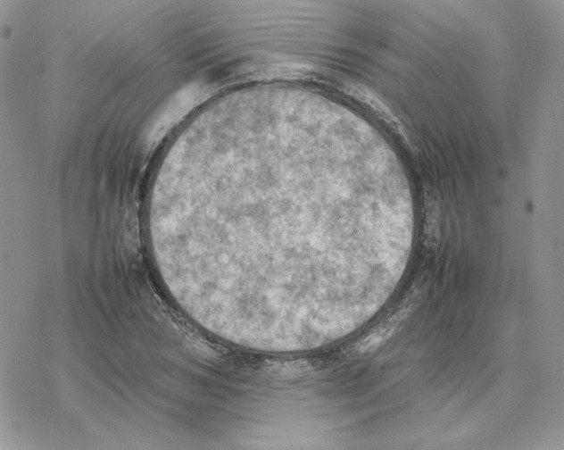 X0000077330978200611171803