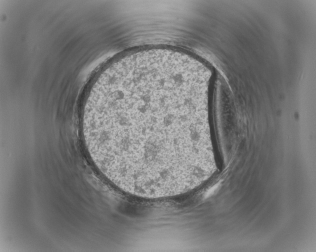 X0000077330979200611171803