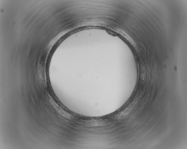 X0000077330980200611171803