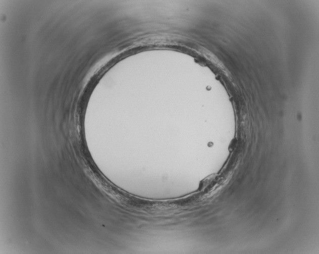 X0000077330981200611171803