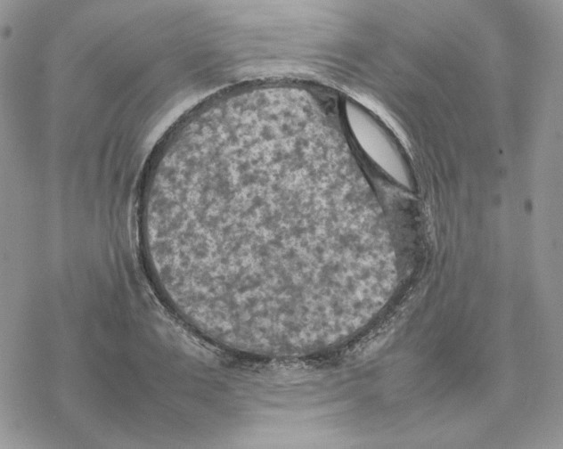 X0000077330983200611171803