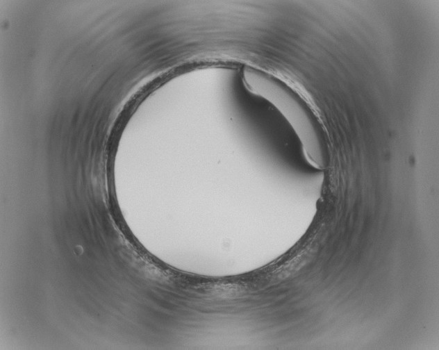 X0000077330984200611171803