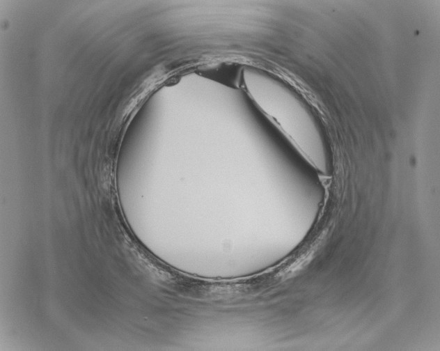 X0000077330985200611171803