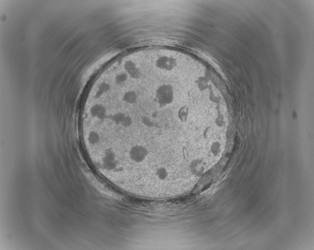 X0000077330987200611171803