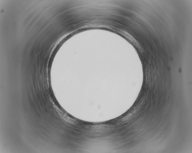 X0000077330988200611171803