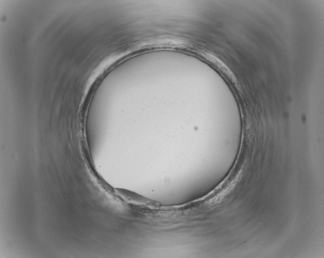 X0000077330989200611171803