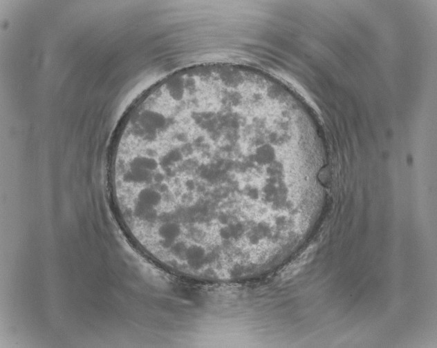 X0000077330991200611171803