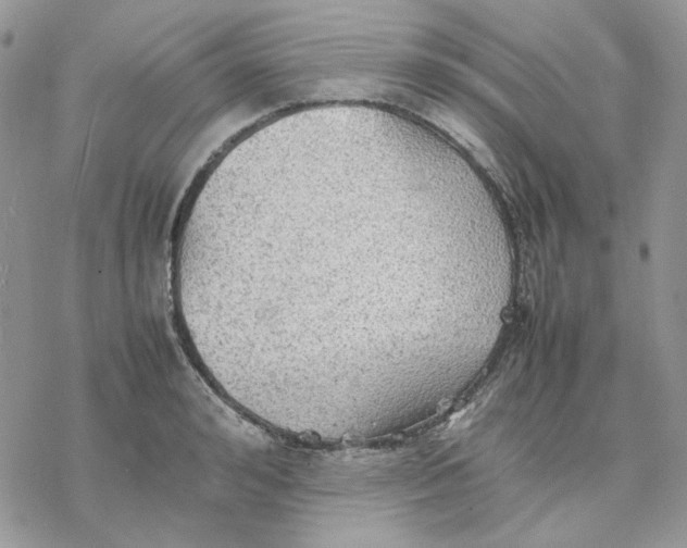 X0000077330992200611171803