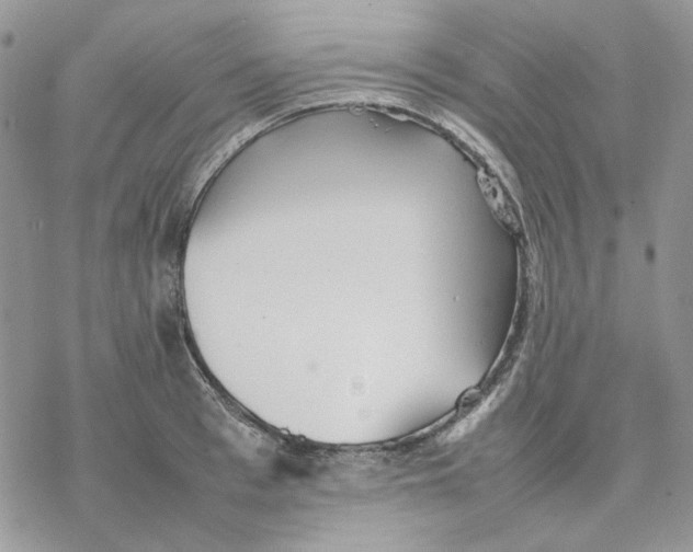 X0000077330993200611171803