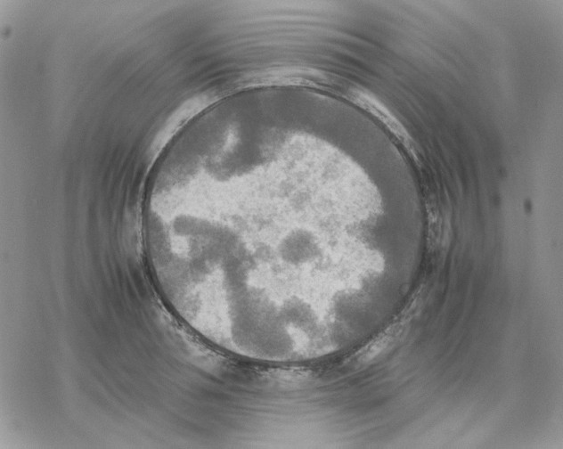 X0000077330994200611171803