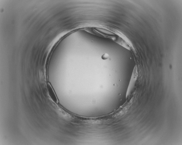 X0000077330996200611171803