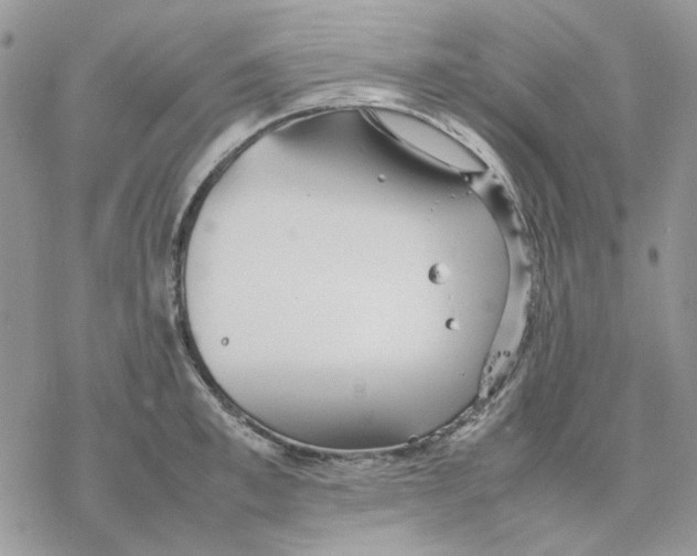 X0000077330997200611171803