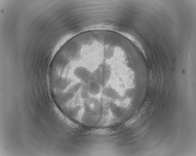 X0000077330998200611171803