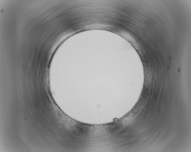 X0000077331000200611171803