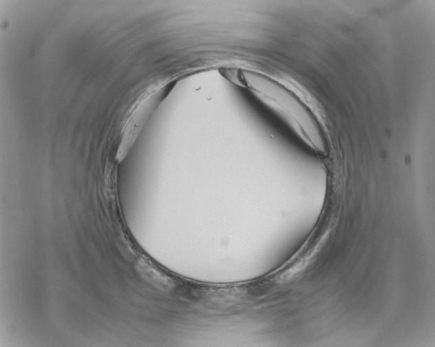 X0000077331001200611171803