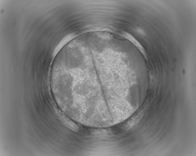 X0000077331002200611171803