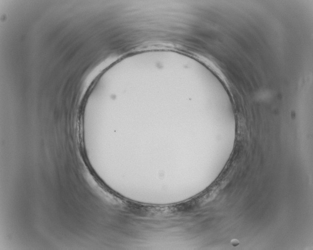 X0000077331003200611171803