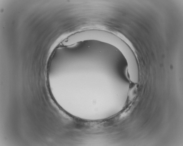 X0000077331005200611171803