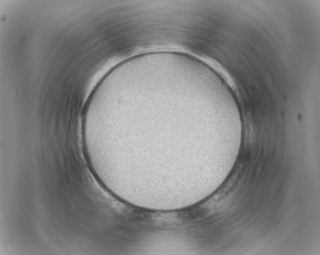 X0000077331006200611171803