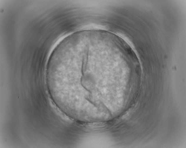 X0000077331008200611171803