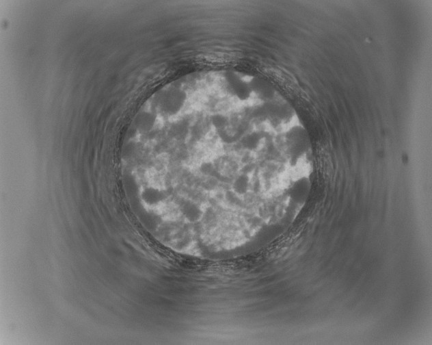 X0000077331009200611171802