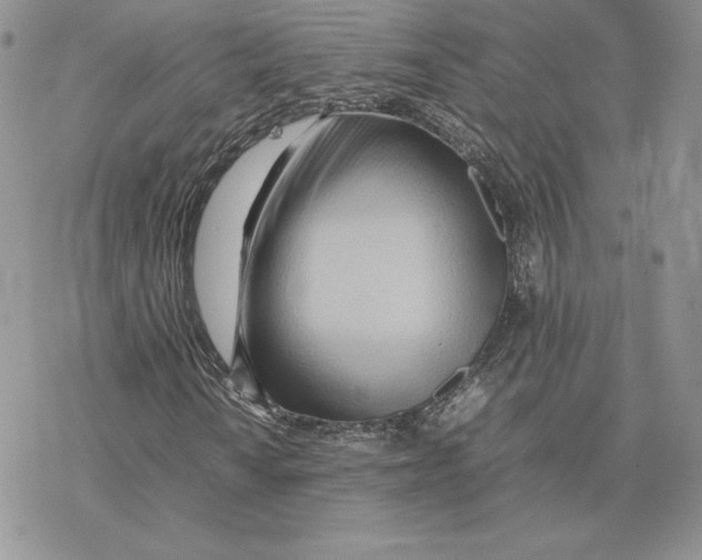 X0000077331010200611171802