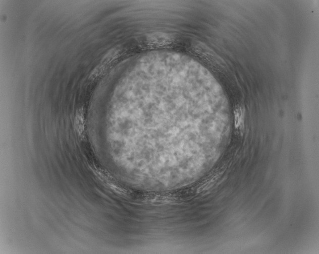 X0000077331011200611171802