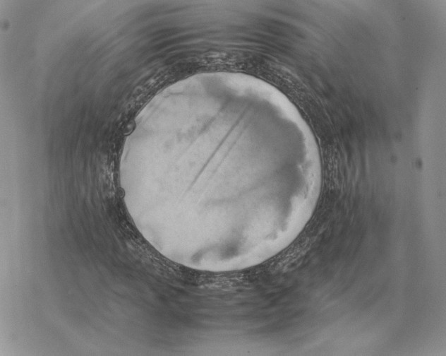 X0000077331013200611171802