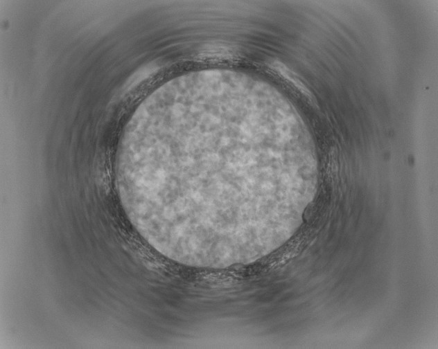 X0000077331015200611171802