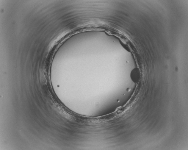 X0000077331018200611171802