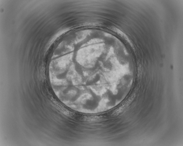 X0000077331019200611171802