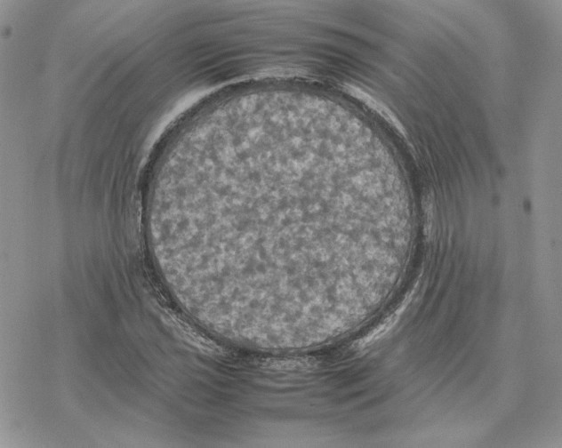 X0000077331021200611171802