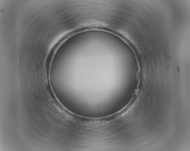 X0000077331022200611171802