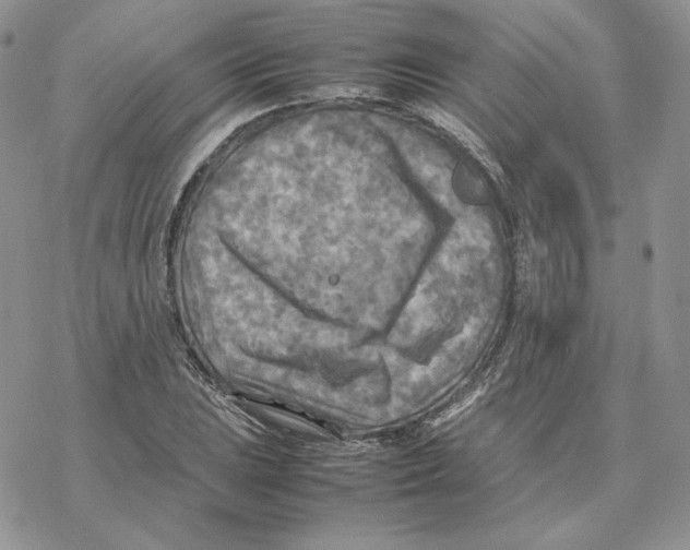 X0000077331023200611171802