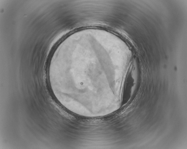 X0000077331024200611171802