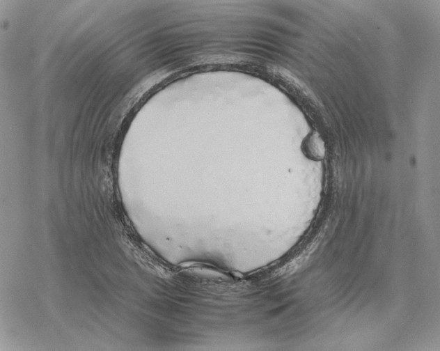 X0000077331025200611171802