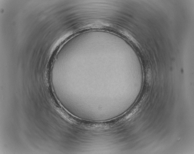 X0000077331026200611171802