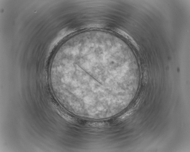 X0000077331027200611171802