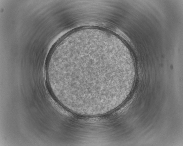 X0000077331028200611171802