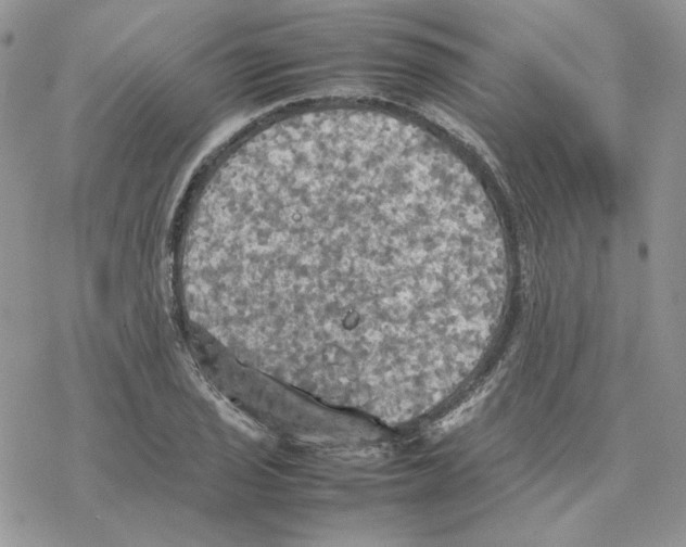 X0000077331029200611171802