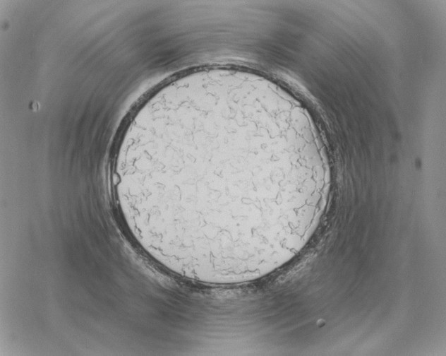 X0000077331032200611171802