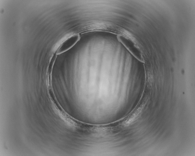 X0000077331034200611171802