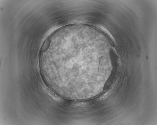 X0000077331035200611171802