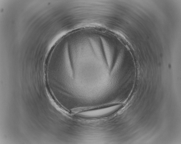 X0000077331038200611171802