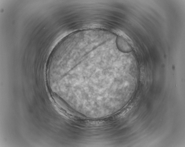 X0000077331039200611171802