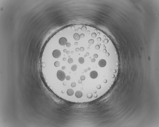 X0000077331040200611171802